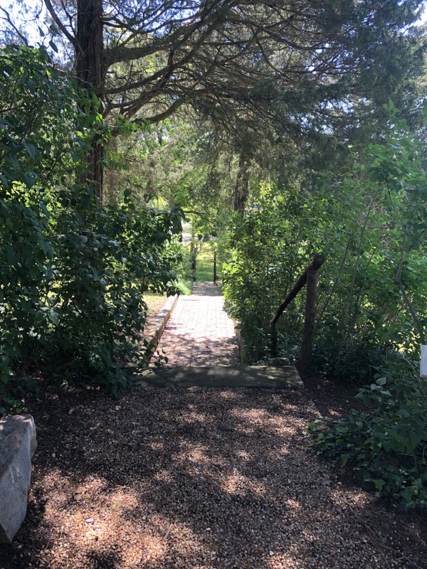 Stairs leading to Falmouth with old lilac bushes