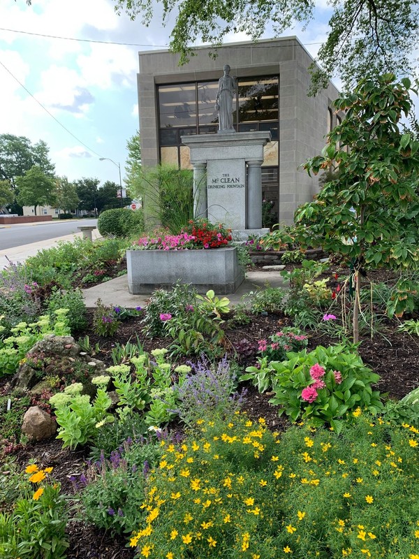 Flower, Plant, Sky, Plant community