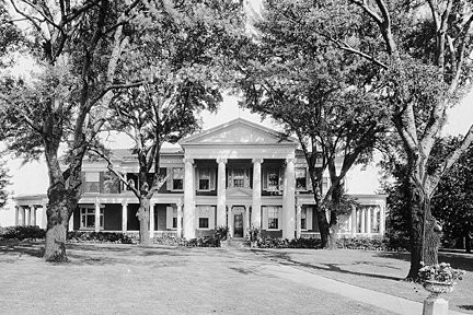 Plant, Building, Tree, Black-and-white