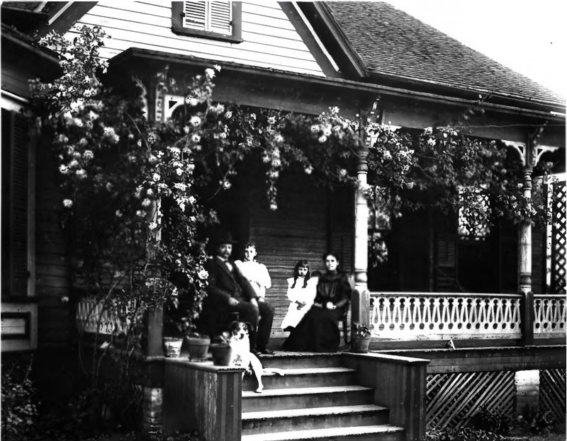 Stairs, Property, House, White