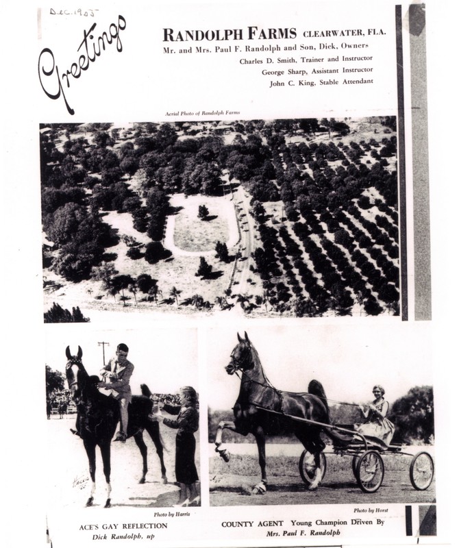 Randolph Farms brochure, Largo, Florida, circa 1955