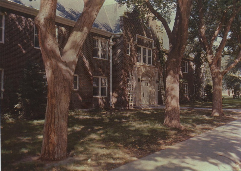 close-up of building through trees