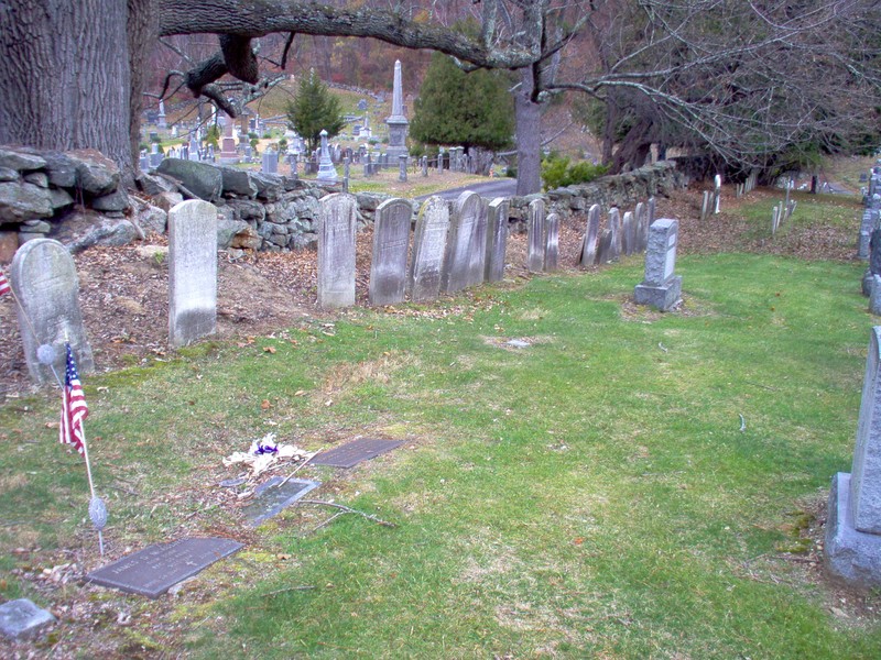 Plant, Tree, Leaf, Cemetery