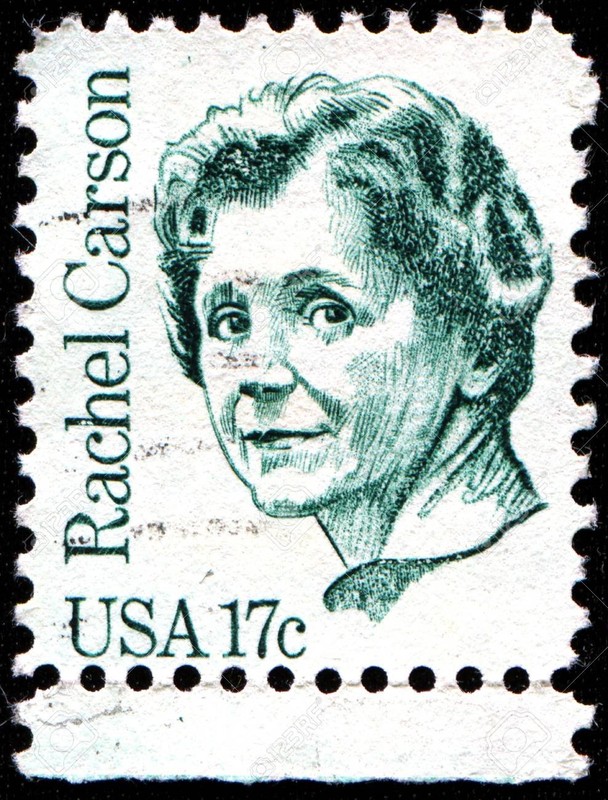 The Rachel Carson stamp was introduced in 1981 during the popular Great Americans Series honoring special Americans from all walks of life and also honoring them for their contributions to society and their fellow man. 