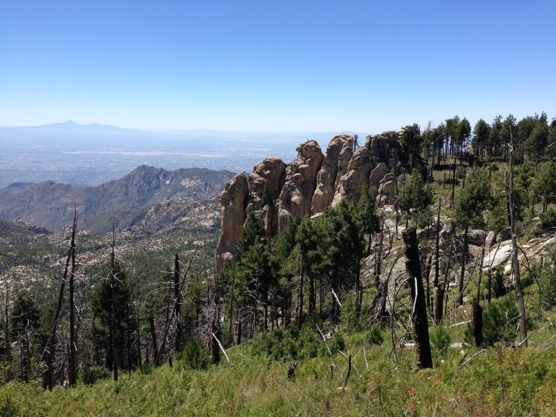 The top of Mount Lemmon, the Mountain that the road was being built to.