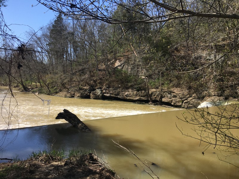 Water, Plant, Body of water, Natural landscape