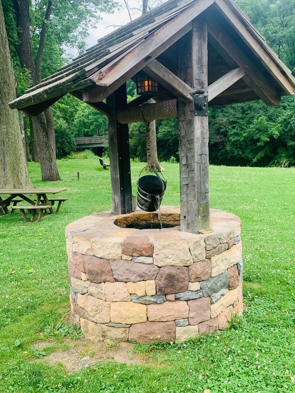 Plant, Water well, Green, Tree