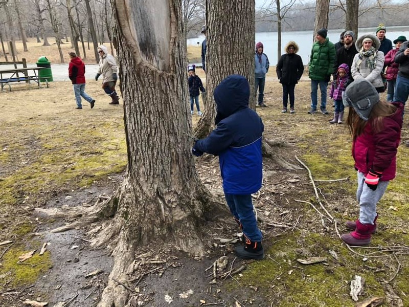 Plant, People in nature, Leaf, Tree