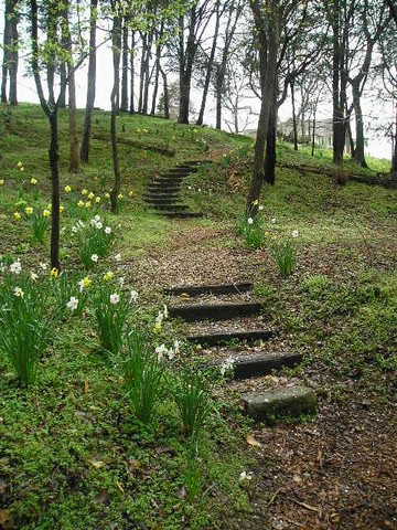 Trails in spring