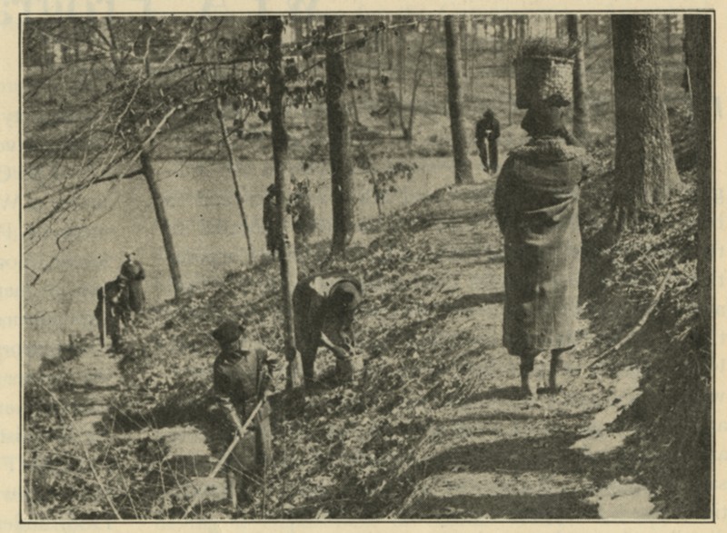 Photograph of women constructing the wildflower and bird sanctuary at Lee Memorial Park, WPA Record (March 1937), image courtesy of the Library of Virginia.