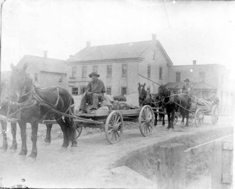 Horse, Photograph, Wheel, Vehicle