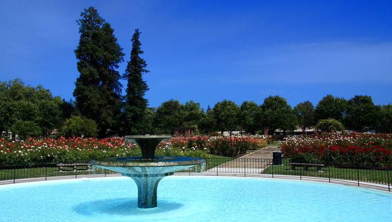 A shot of the fountain in the middle of the Rose Garden.