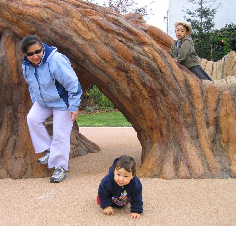 Families often come to the park.