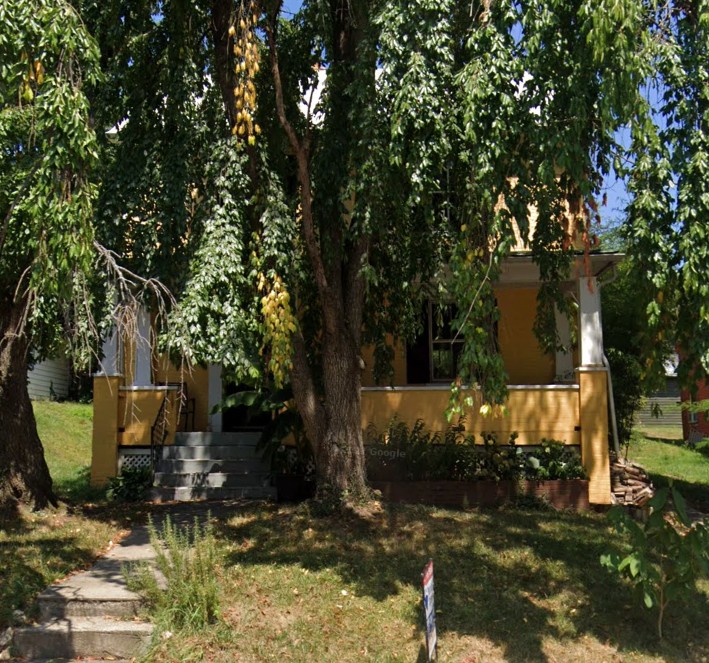 Plant, Leaf, Tree, Building