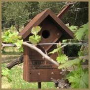 Hawkbox on the property of the Ackerman Family Vineyards