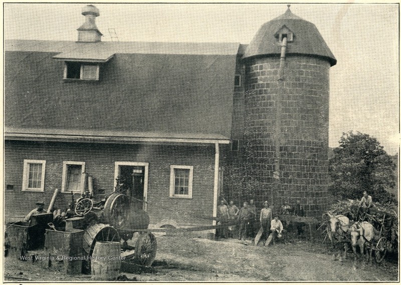 Building, Photograph, Plant, House