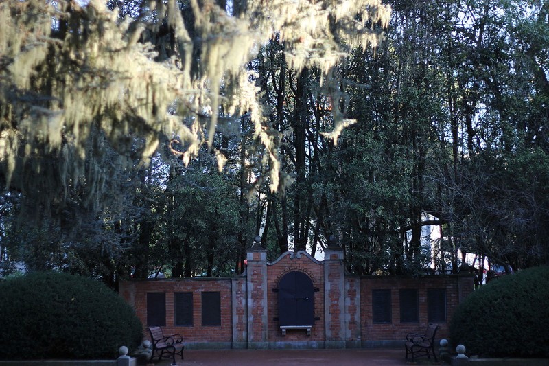 Shakespeare Garden wall, Golden Gate Park