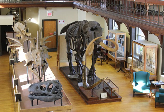 Museum interior (image from Rutgers University Geology Museum)