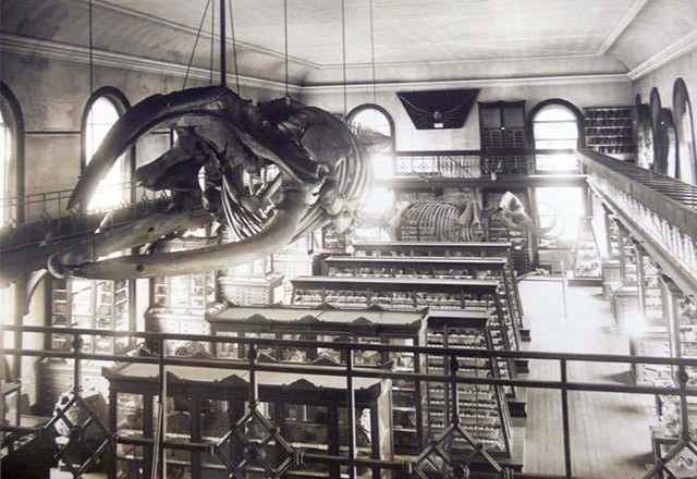 Historic image of the museum (image from Rutgers University Geology Museum)