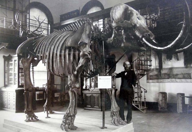 William S. Valiant with the Mannington Mastodon (image from Rutgers University Geology Museum)