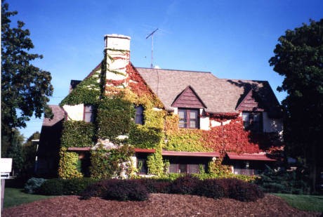 The Walter Young Center, October 2000.