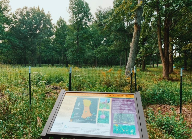 The prairie plot near the Homer Lake Interpretive Center.