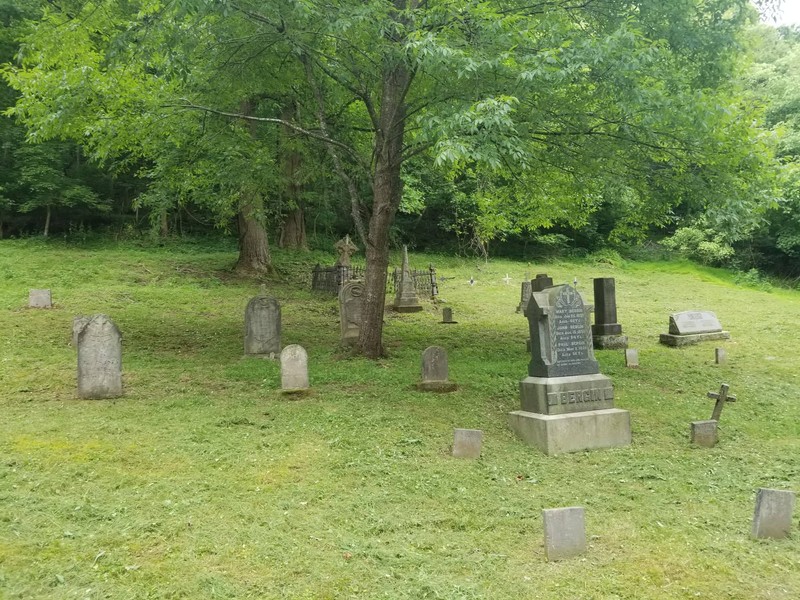 Plant, Cemetery, Tree, Grave