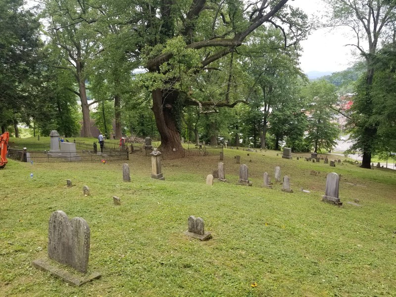 Plant, Tree, Headstone, Land lot