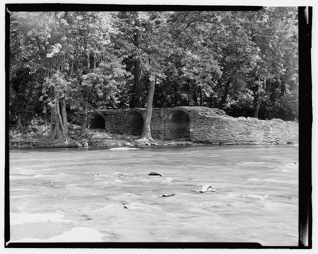 Water, Branch, Tree, Natural landscape