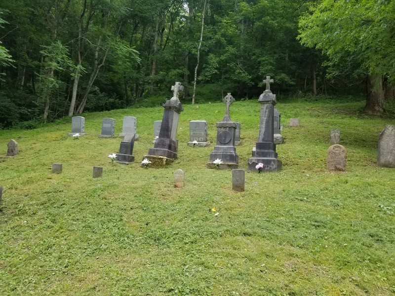 Plant, Tree, Natural environment, Headstone