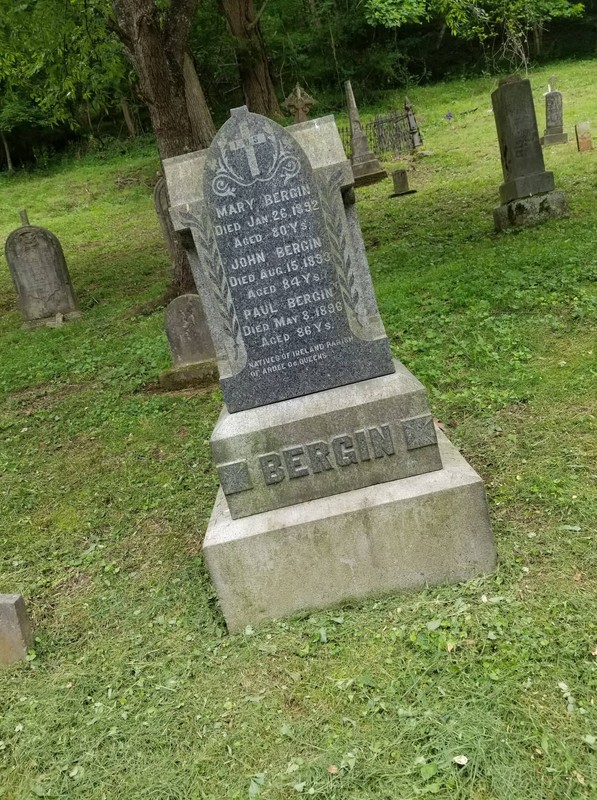 Plant, Cemetery, Tree, Land lot