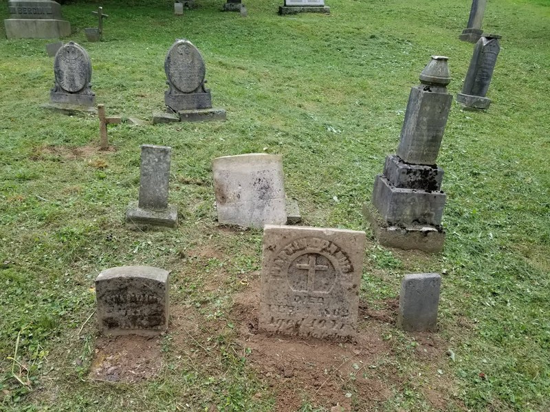 Plant, Headstone, Nature, Cemetery