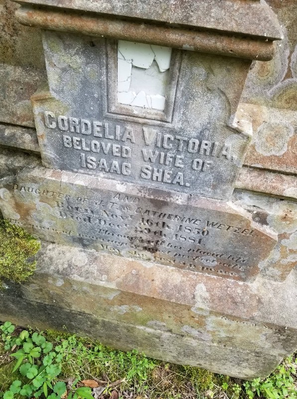 Plant, Headstone, Cemetery, Grass