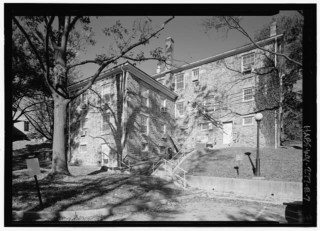 Building, Black, Branch, Black-and-white