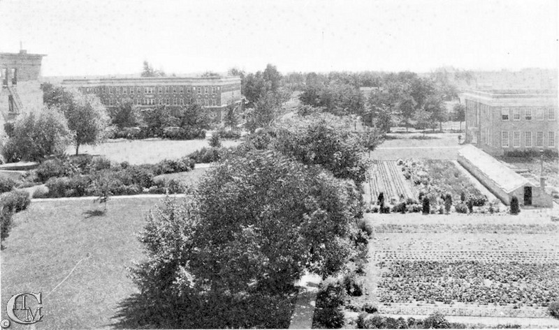 View of the garden looking west.