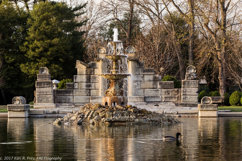 Water, Plant, Bird, Natural landscape