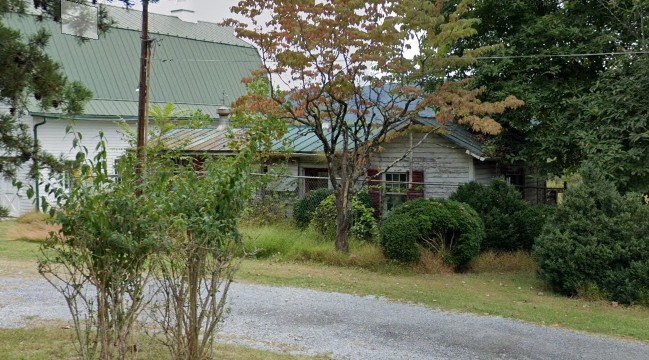 Plant, Building, Window, Tree