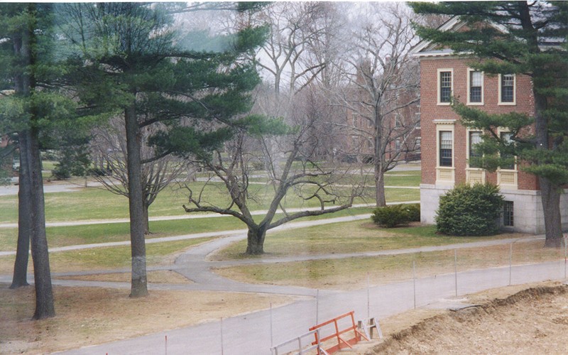 Plant, Building, Window, Tree