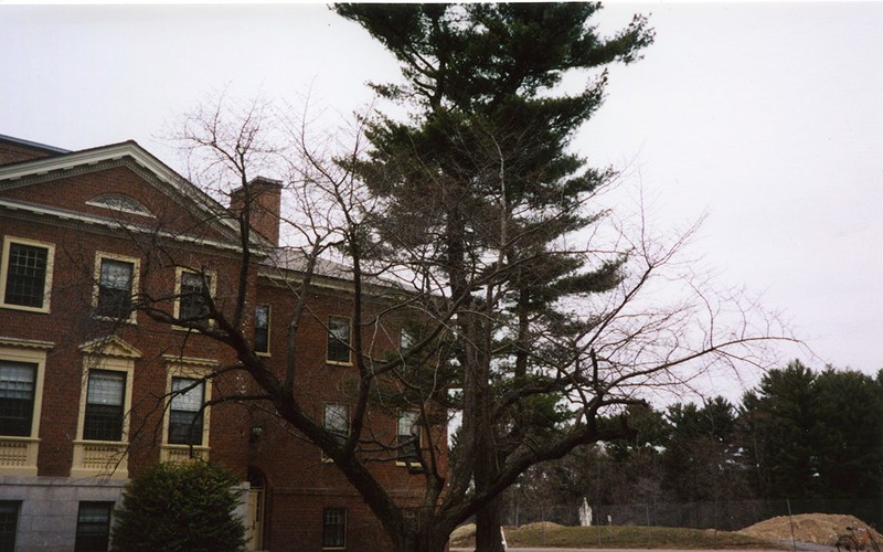 Sky, Plant, Window, Building