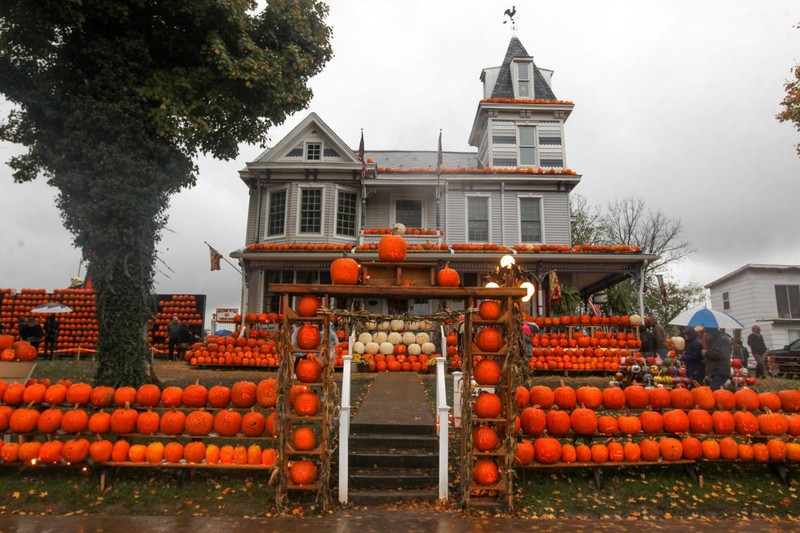 Architecture, Building, Pumpkin, Plant