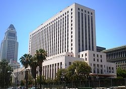 A photo of the former federal courthouse with City Hall in the background. 