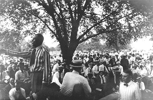 Hat, Tree, Gesture, Black-and-white