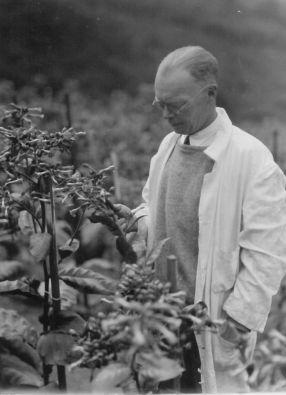 Curator, Thomas Goodspeed, was appointed Director of the UC Botanical Garden in 1934