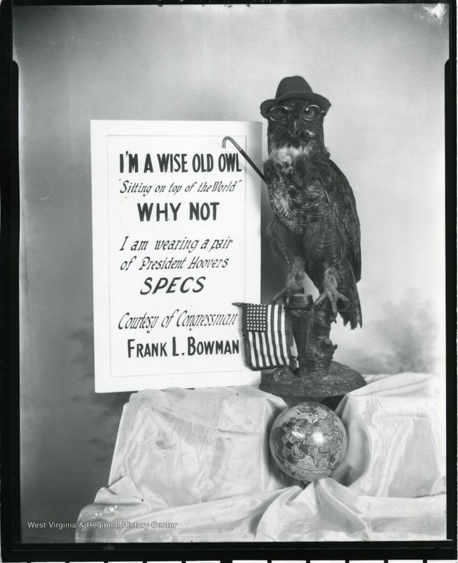 Political display by Bowman. The display reads "I'm a wise old owl 'sitting on top of the World' Why Not I am Wearing a Pair of President Hoover's Specs Courtesy of Congressman Frank L. Bowman."