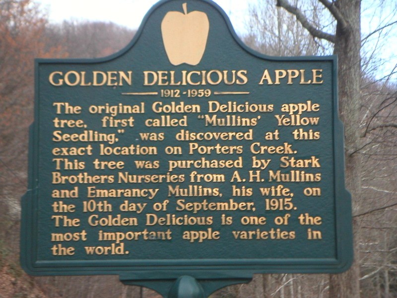 Golden Delicious apple sign