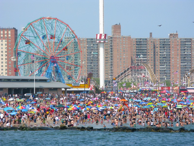 The Amusement Park