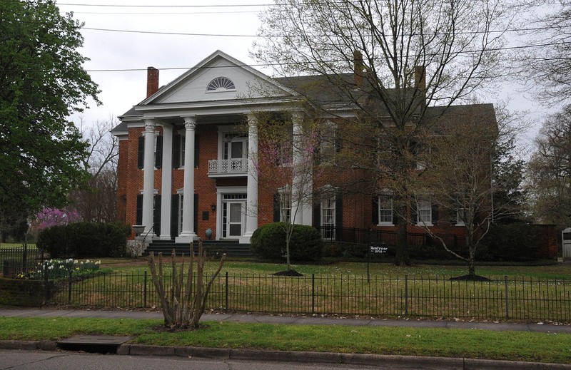 Plant, Window, Property, House