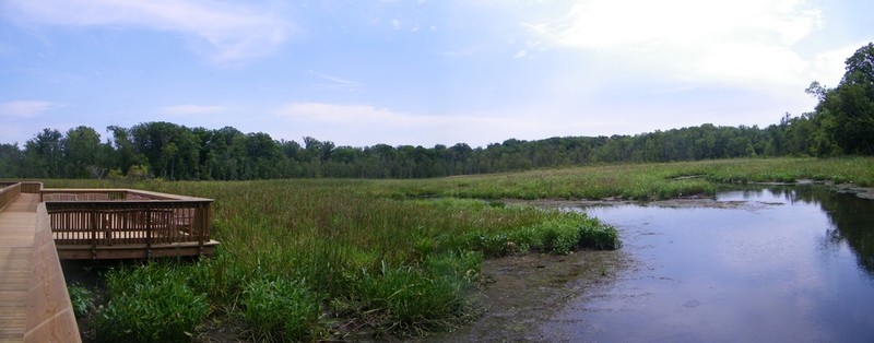 Accokeek Boardwalk, courtesy of National Park Service (public domain)