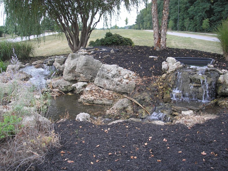 Plant, Natural landscape, Bedrock, Tree