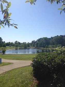 Deibert Park